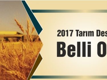 2017 Tarımsal Desteklemeler Belirlendi