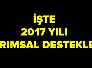 Türkiye Milli Tarım Destekleme Modeli Kapsamında Desteklenen Tarım Ürünleri