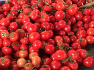 Rusya’ya Domates İhracatının Önü Açıldı: 50 Bin Ton Gönderilecek